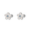 PENDIENTES PLATA