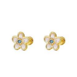 PENDIENTES PLATA CHAPADA