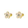 PENDIENTES PLATA CHAPADA