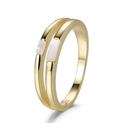 ANILLO PLATA CHAPADA
