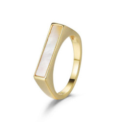 ANILLO PLATA CHAPADA