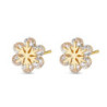 PENDIENTES PLATA CHAPADA