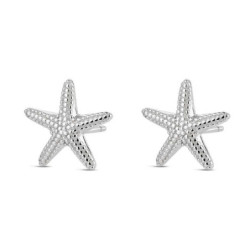 PENDIENTES PLATA