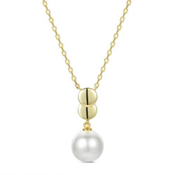 COLLAR PLATA CHAPADA