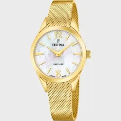Festina swiss Made F20077/1