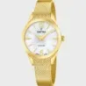 Festina swiss Made F20077/1
