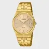 CASIO TIMELES MTP-B145G-9AVE