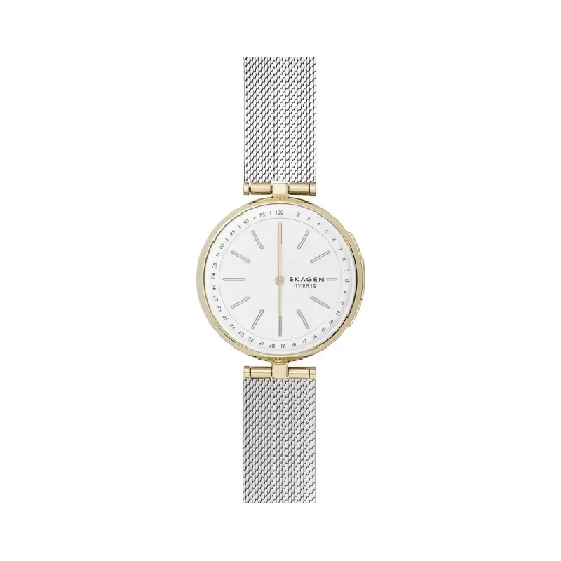 Skagen Signatur hybrid SKT1413