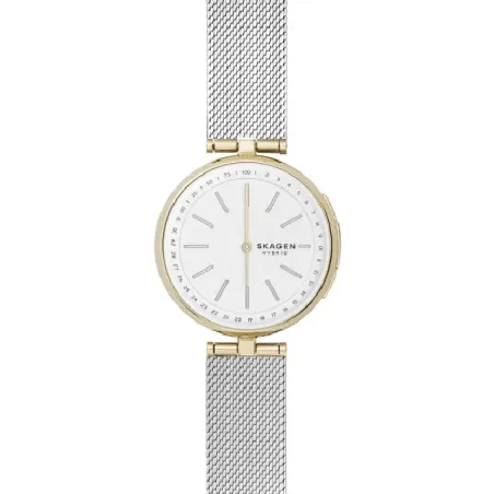 Skagen Signatur hybrid SKT1413
