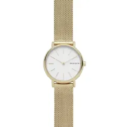 Skagen Signatur SKW2693