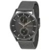 Skagen Holts