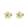 PENDIENTES PLATA CHAPADA