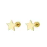 PENDIENTES PLATA CHAPADA