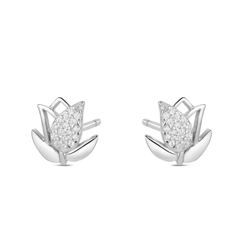 PENDIENTES PLATA