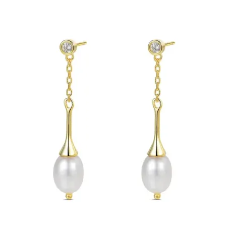 PENDIENTES PLATA CHAPADA