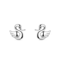 PENDIENTES PLATA
