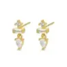 PENDIENTES PLATA CHAPADA